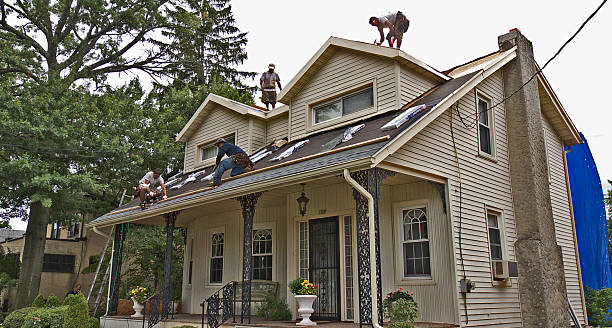 Best Storm Damage Roof Repair  in Picayune, MS